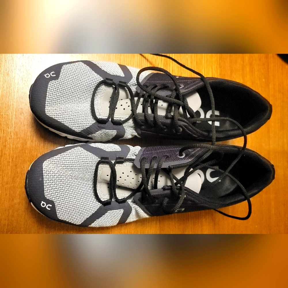 swiss engineering size 10 men